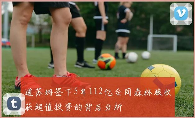 道苏姆签下5年112亿合同森林狼收获超值投资的背后分析
