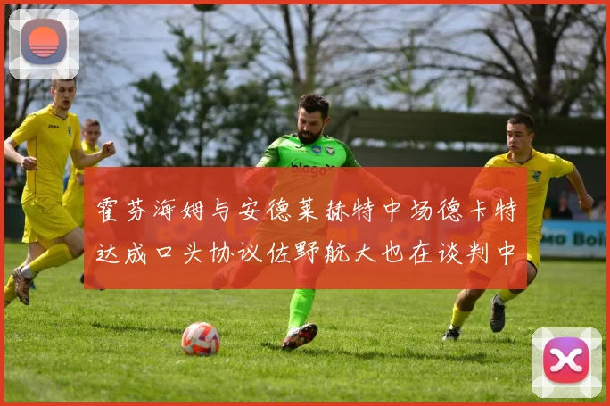 霍芬海姆与安德莱赫特中场德卡特达成口头协议佐野航大也在谈判中