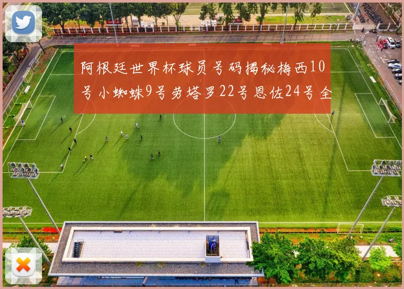 阿根廷世界杯球员号码揭秘梅西10号小蜘蛛9号劳塔罗22号恩佐24号全解析
