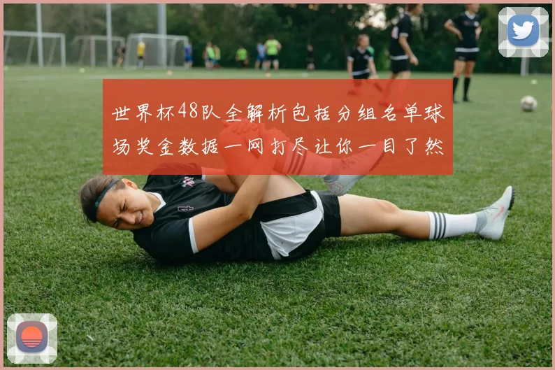 世界杯48队全解析包括分组名单球场奖金数据一网打尽让你一目了然