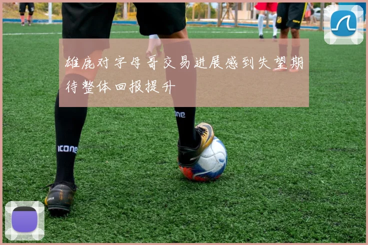 雄鹿对字母哥交易进展感到失望期待整体回报提升